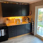Prázdninový dům Golsfjellet