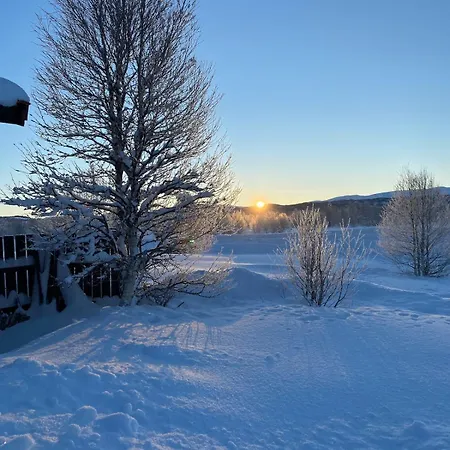 Holiday home Golsfjellet