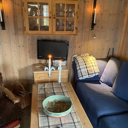 Golsfjellet Holiday home *