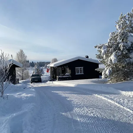 Golsfjellet Holiday home