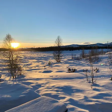 Golsfjellet Holiday home *