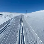 Feriehus Golsfjellet Gol