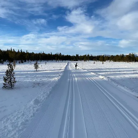 Golsfjellet