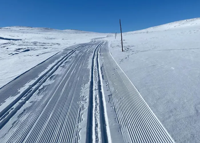 度假居 Golsfjellet 高尔