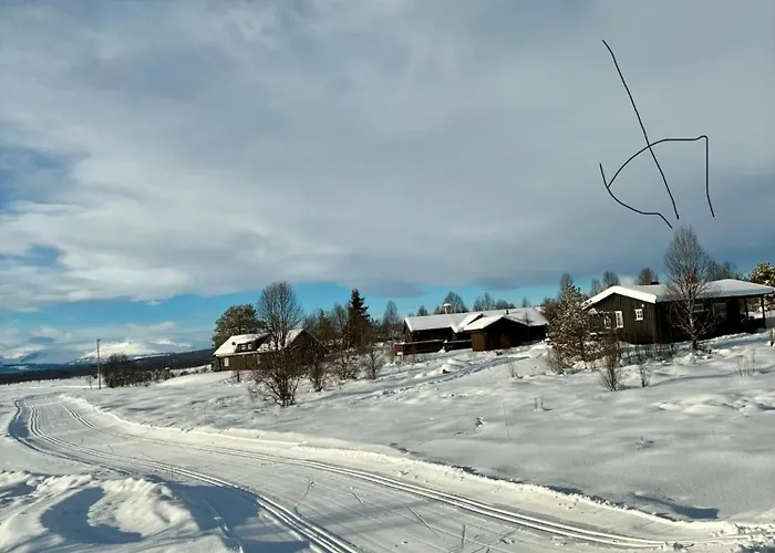 Golsfjellet * 高尔