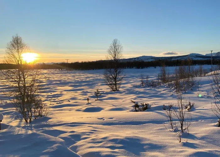 Golsfjellet 度假居 *